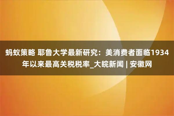 蚂蚁策略 耶鲁大学最新研究：美消费者面临1934年以来最高关税税率_大皖新闻 | 安徽网