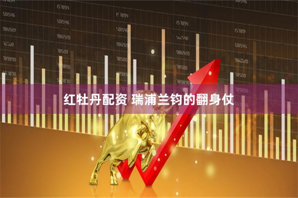 红牡丹配资 瑞浦兰钧的翻身仗