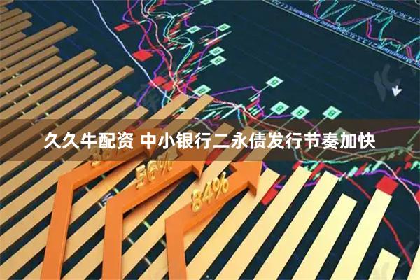 久久牛配资 中小银行二永债发行节奏加快